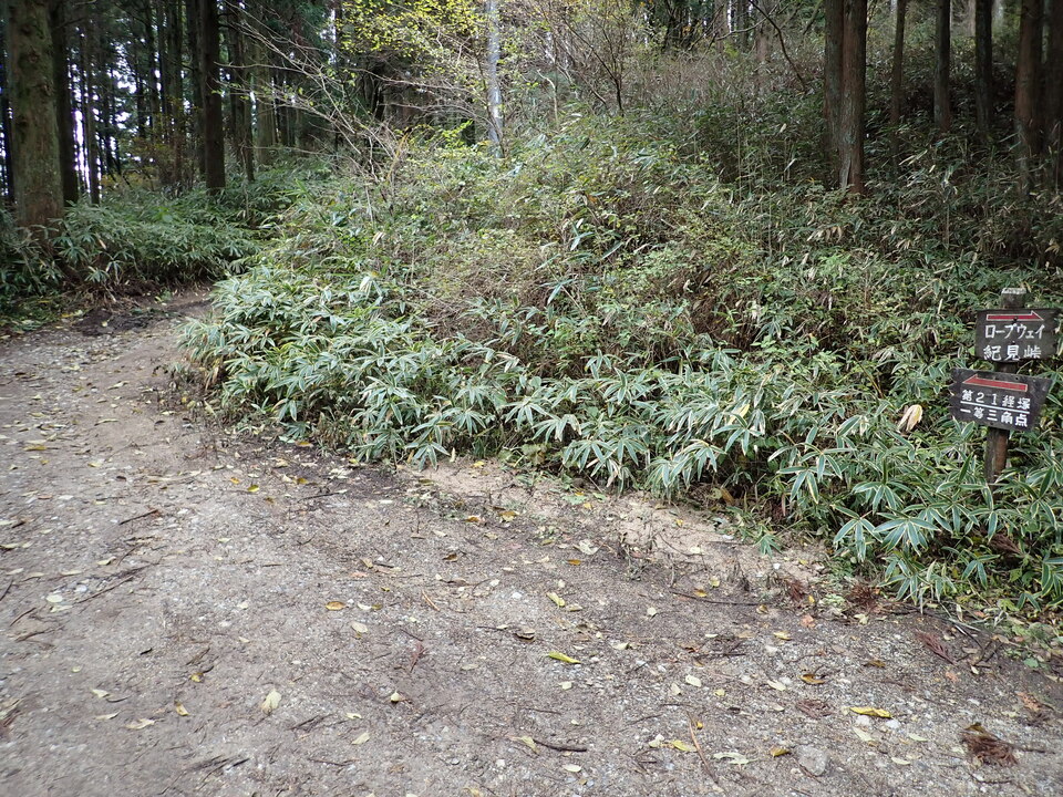 PB135976_mid.jpg