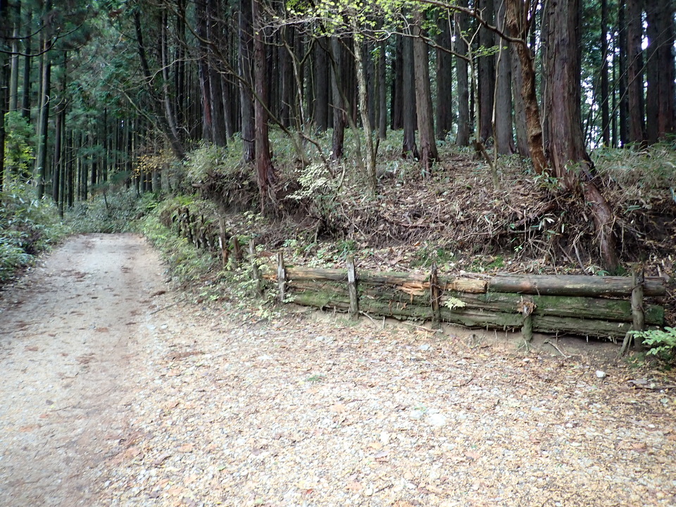 PB135989_mid.jpg