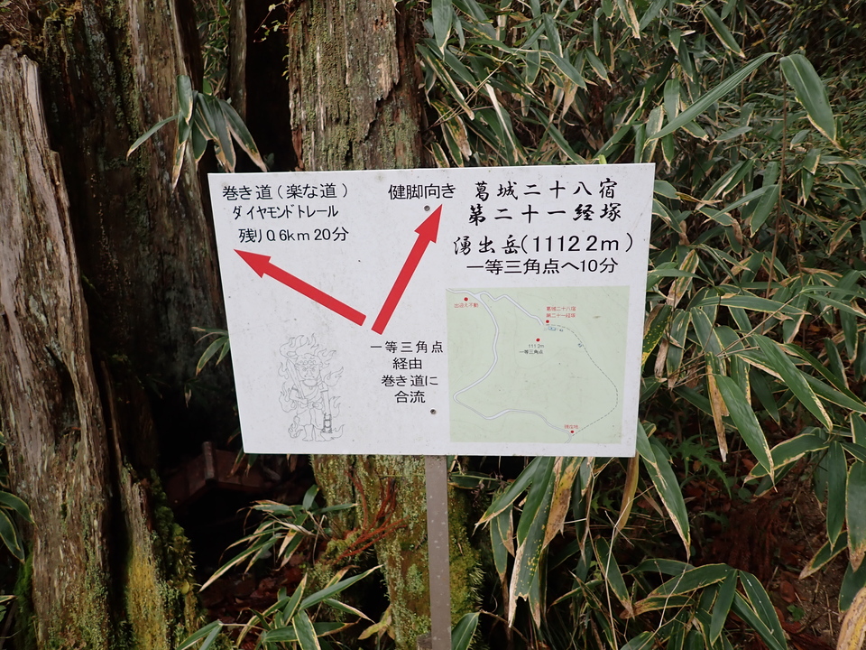 PB135990_mid.jpg