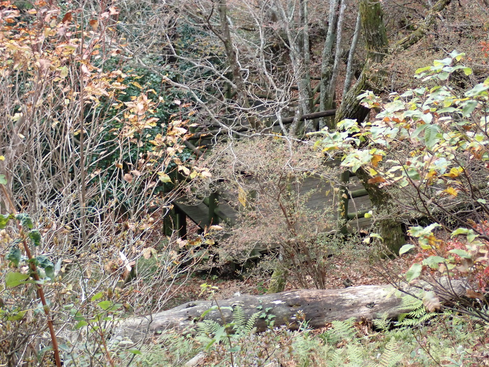 PB136016_mid.jpg