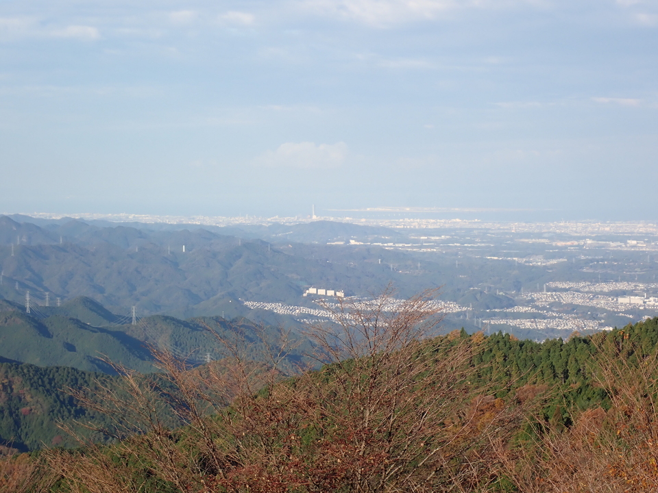PB146120_mid.jpg