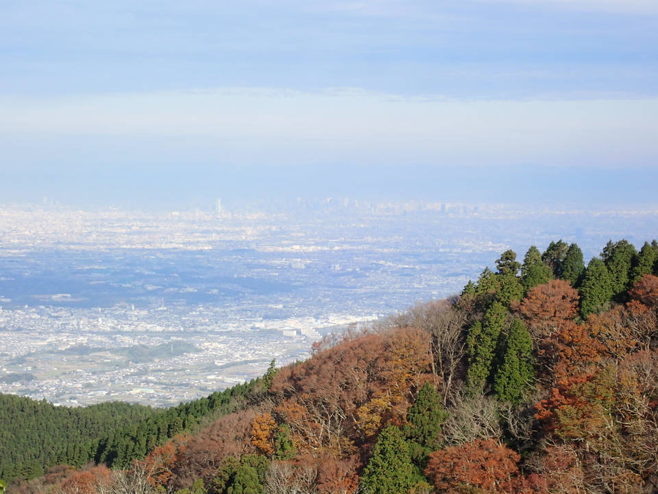 PB146144_mid.jpg