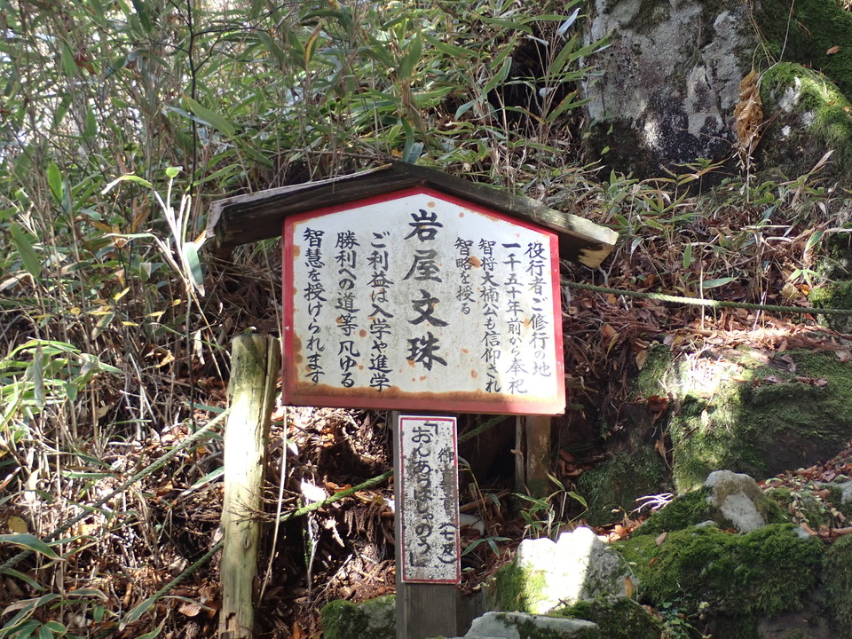 PB146154_mid.jpg
