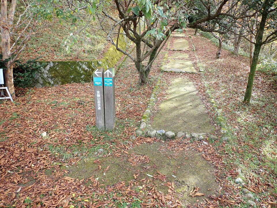 PB146167_mid.jpg