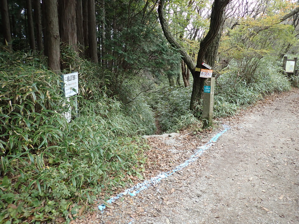 PB146185_mid.jpg