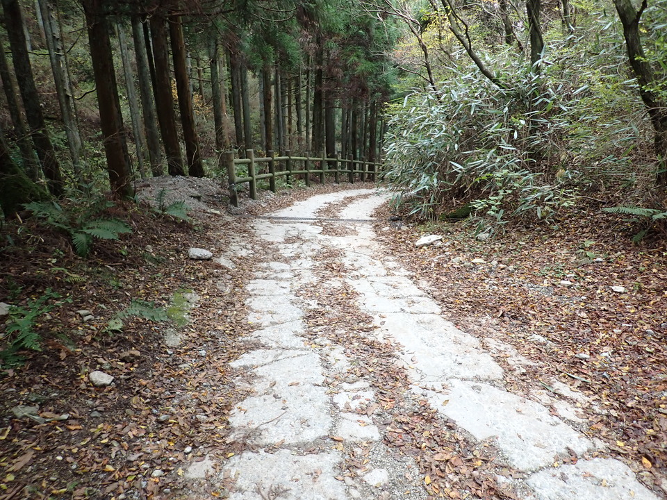 PB146188_mid.jpg