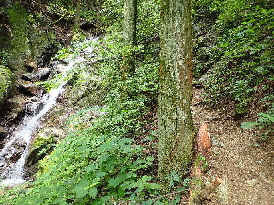 P6257268_mid.jpg