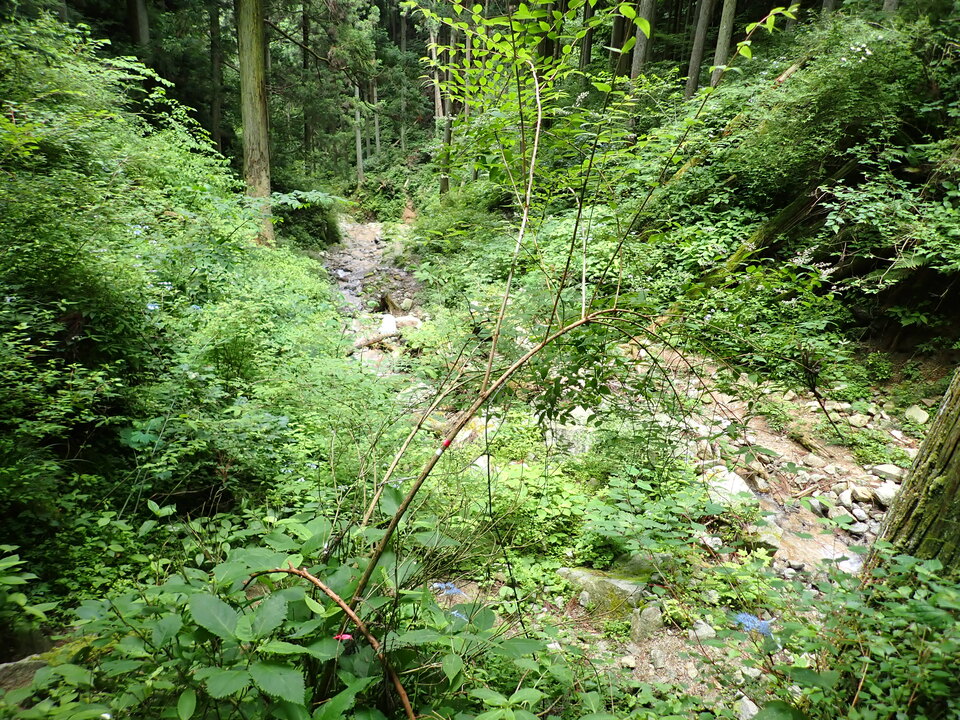 P6257270_mid.jpg