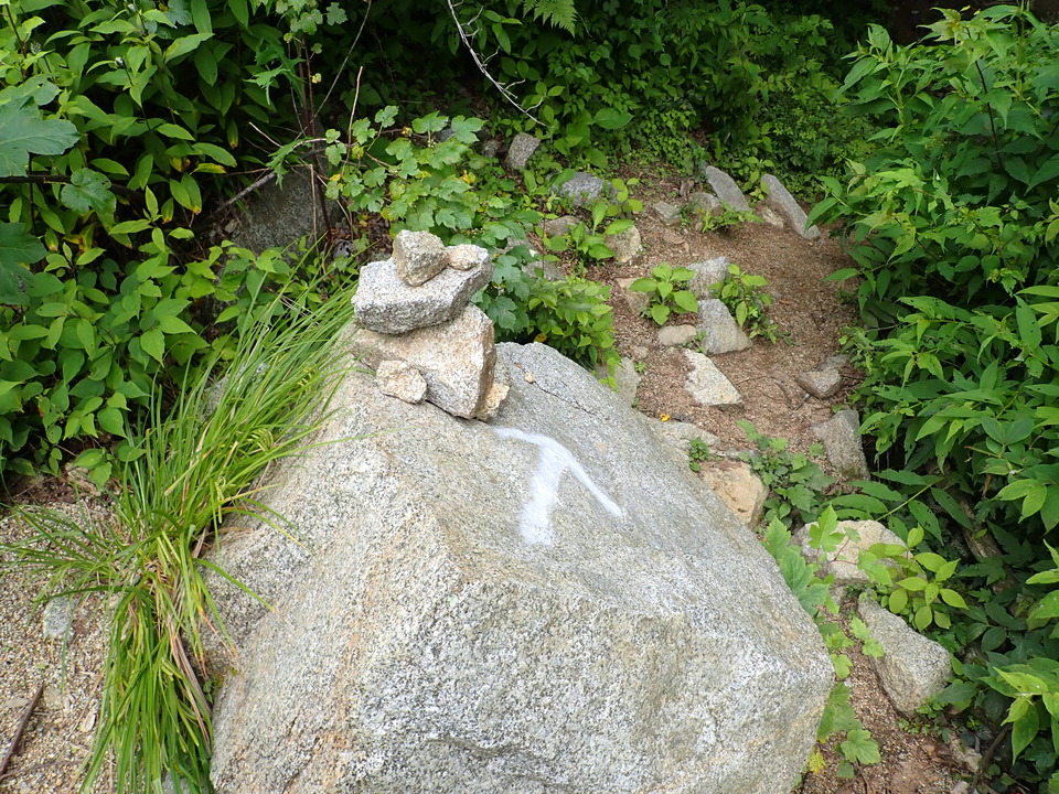 P6257306_mid.jpg