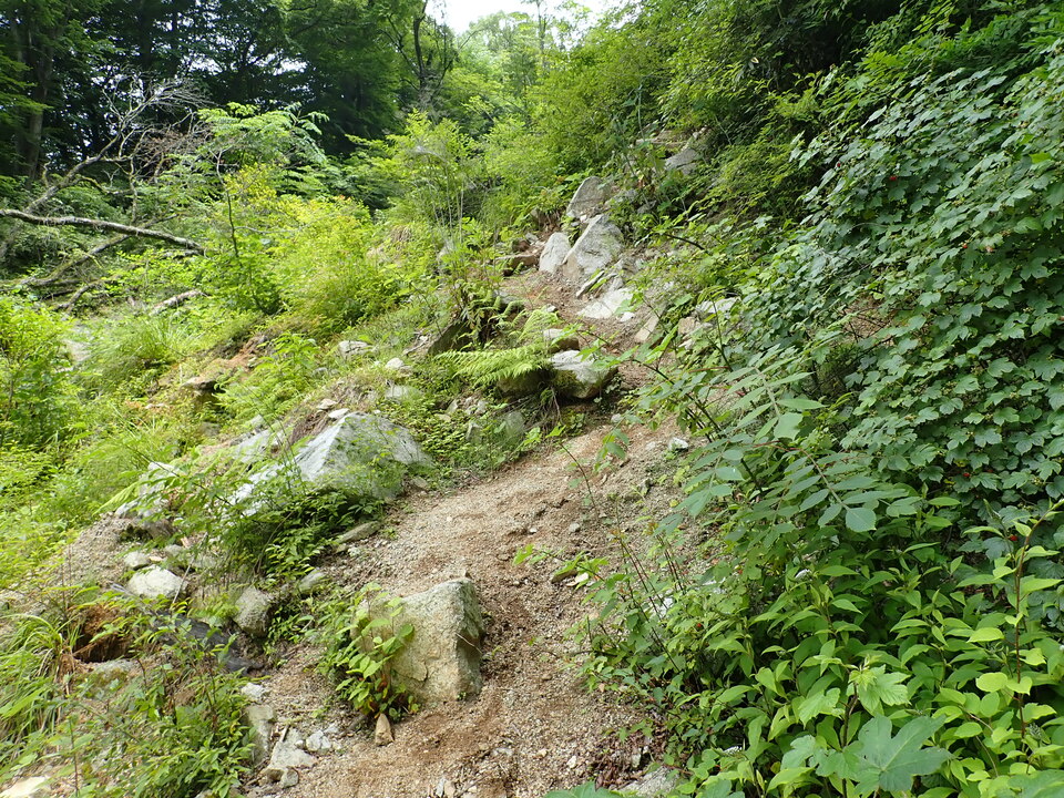 P6257308_mid.jpg