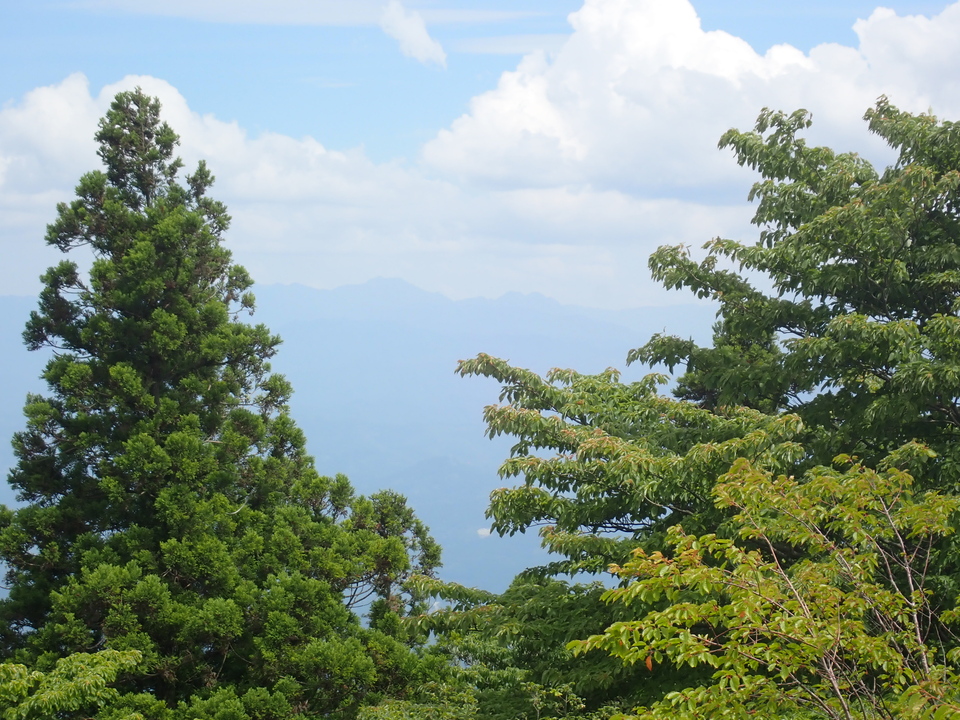 P6257387_mid.jpg