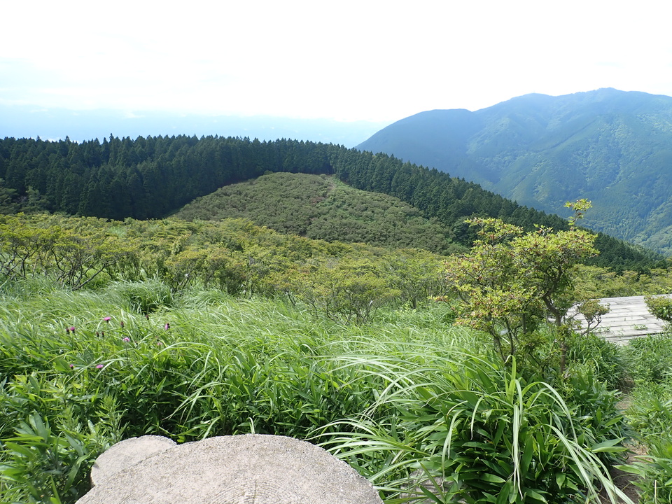 P6267441_mid.jpg