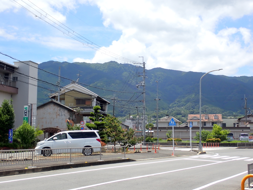 P6267482_mid.jpg