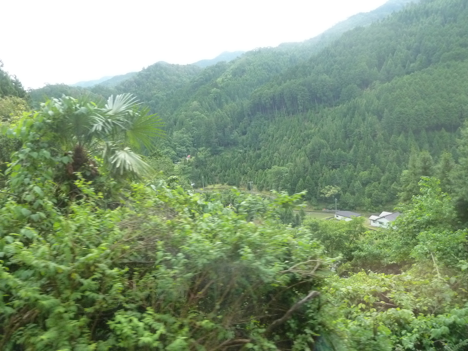 P1030065_mid.jpg