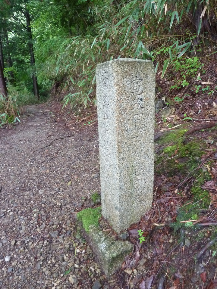 P1030103_mid.jpg
