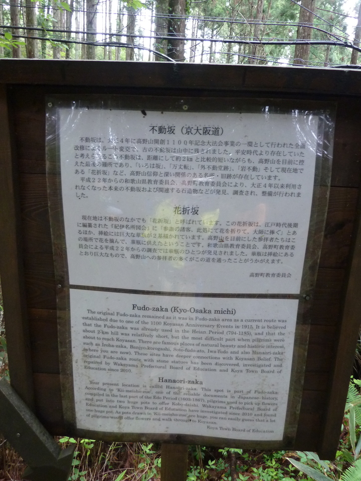 P1030108_mid.jpg