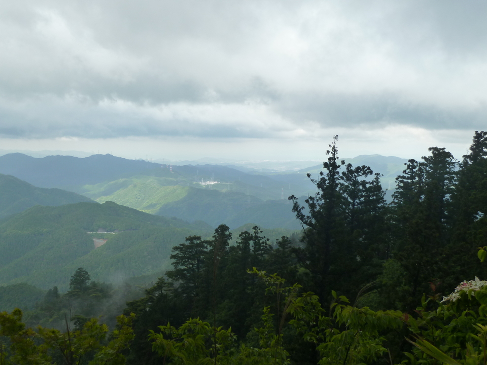 P1030144_mid.jpg