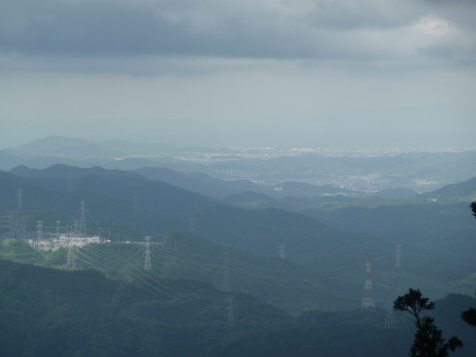 P1030145_mid.jpg