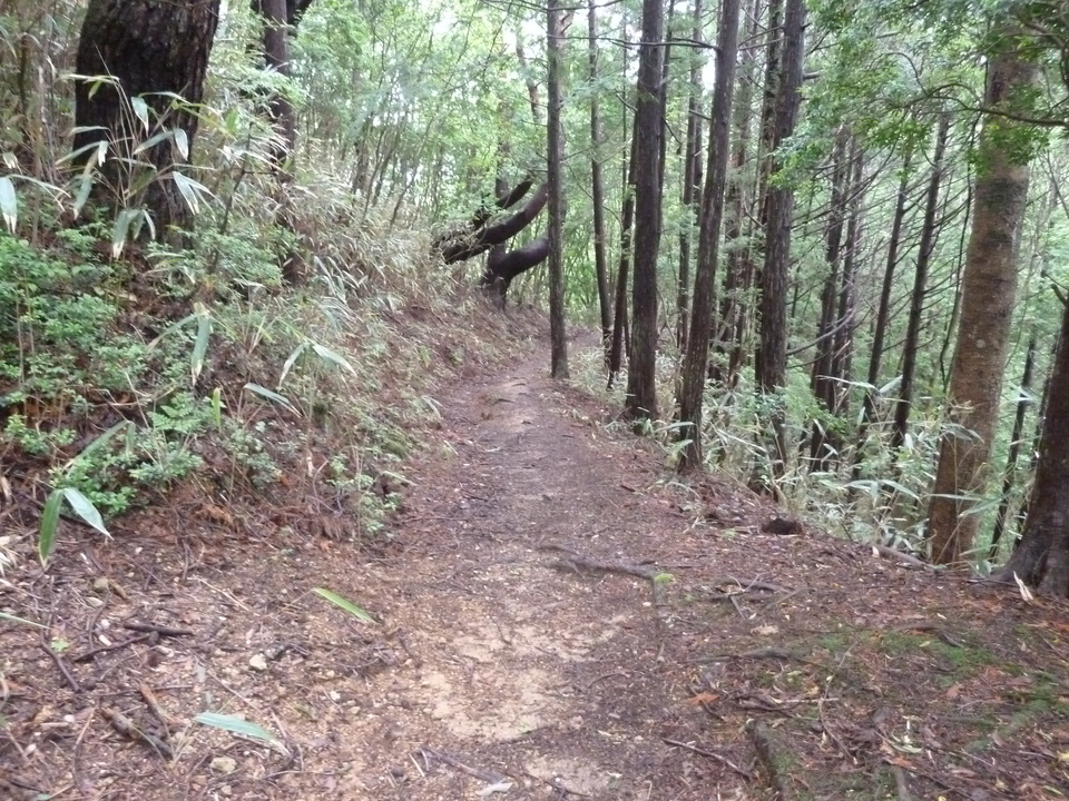 P1030181_mid.jpg