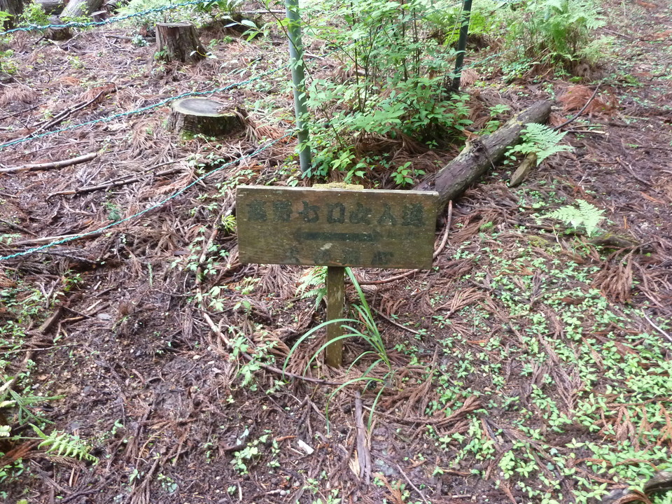 P1030191_mid.jpg