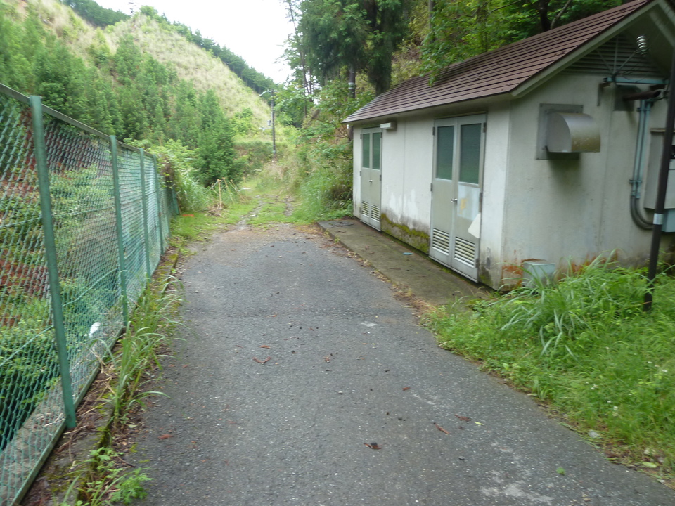 P1030195_mid.jpg