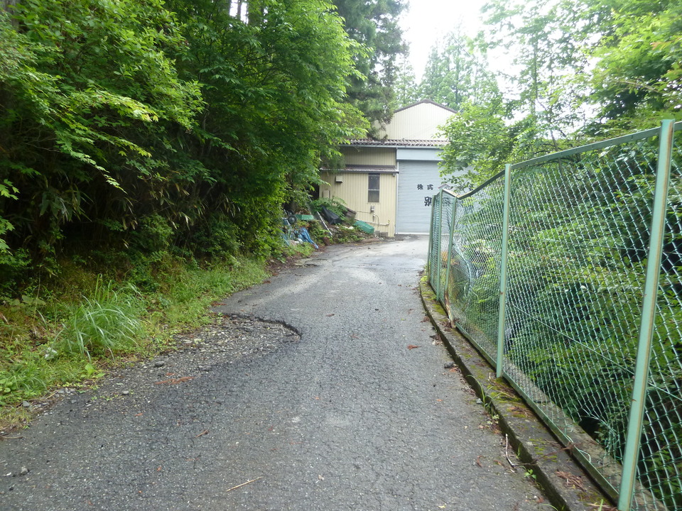 P1030196_mid.jpg