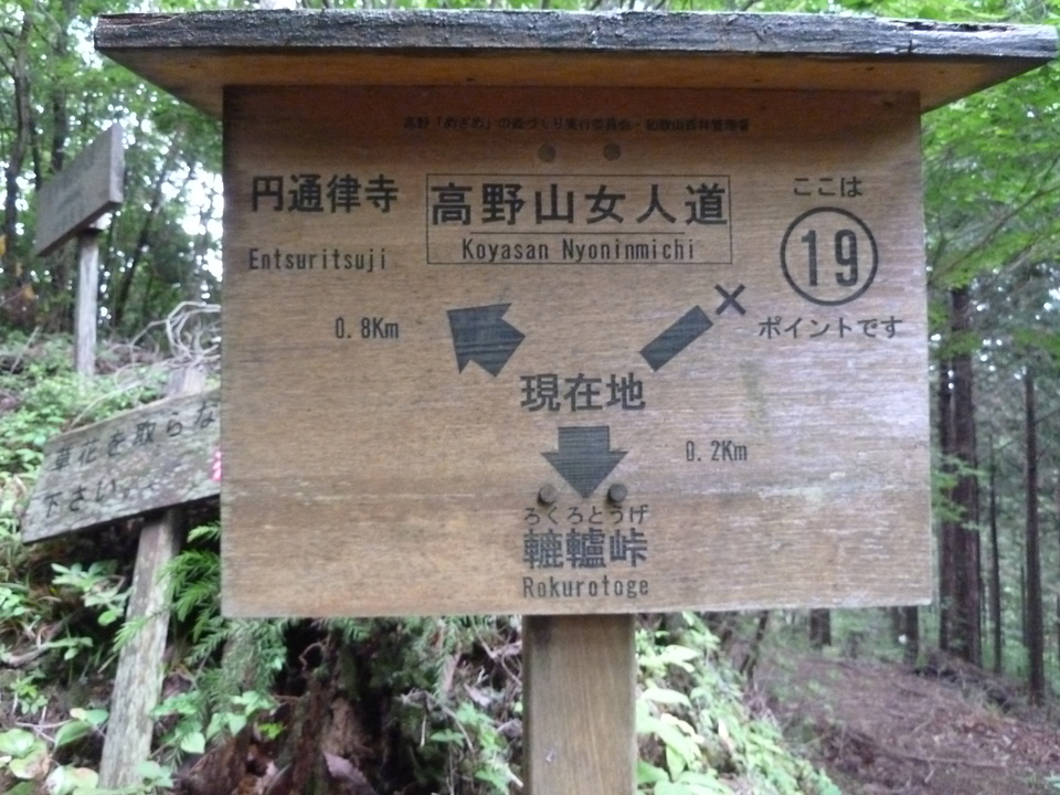 P1030215_mid.jpg