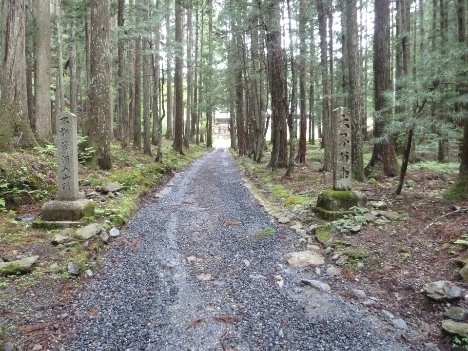 P1030227_mid.jpg