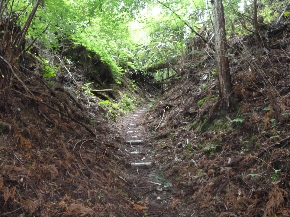 P1030240_mid.jpg