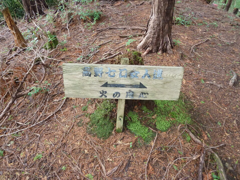 P1030320_mid.jpg