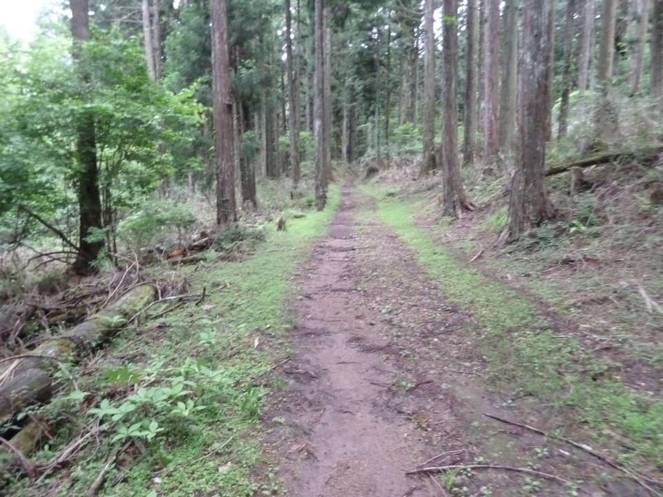 P1030342_mid.jpg