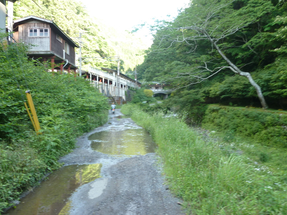 P1030435_mid.jpg