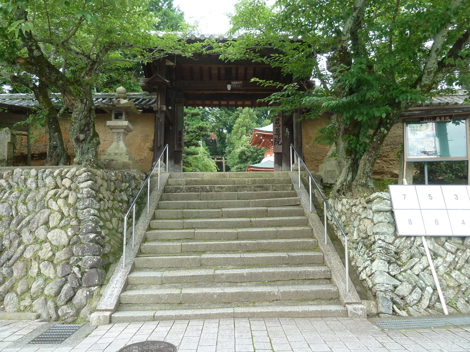 P1210308_mid.jpg