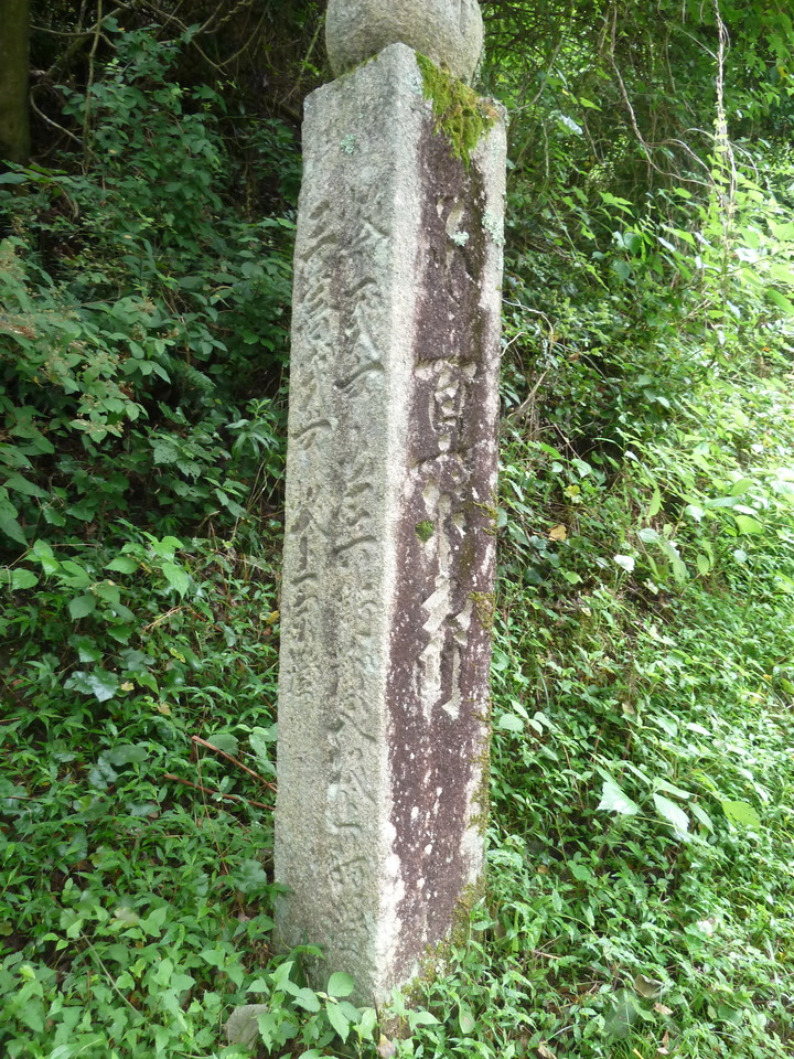 P1210338_mid.jpg