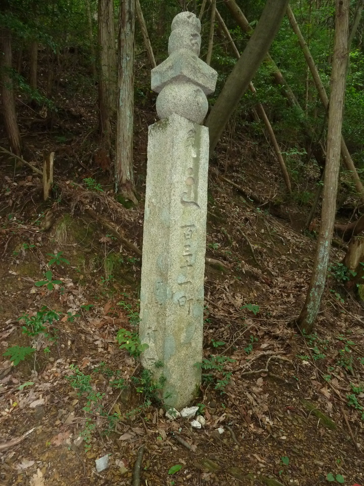 P1210441_mid.jpg