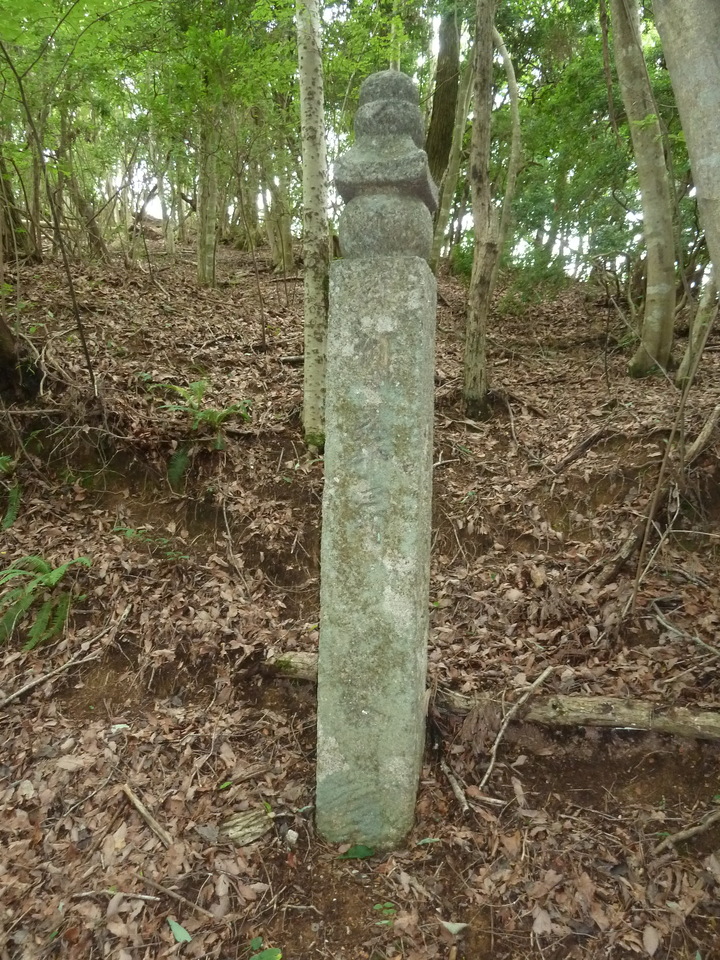 P1210509_mid.jpg