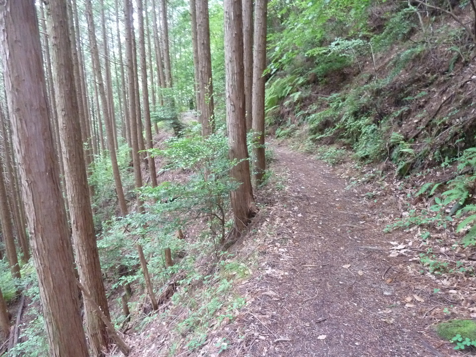 P1210551_mid.jpg