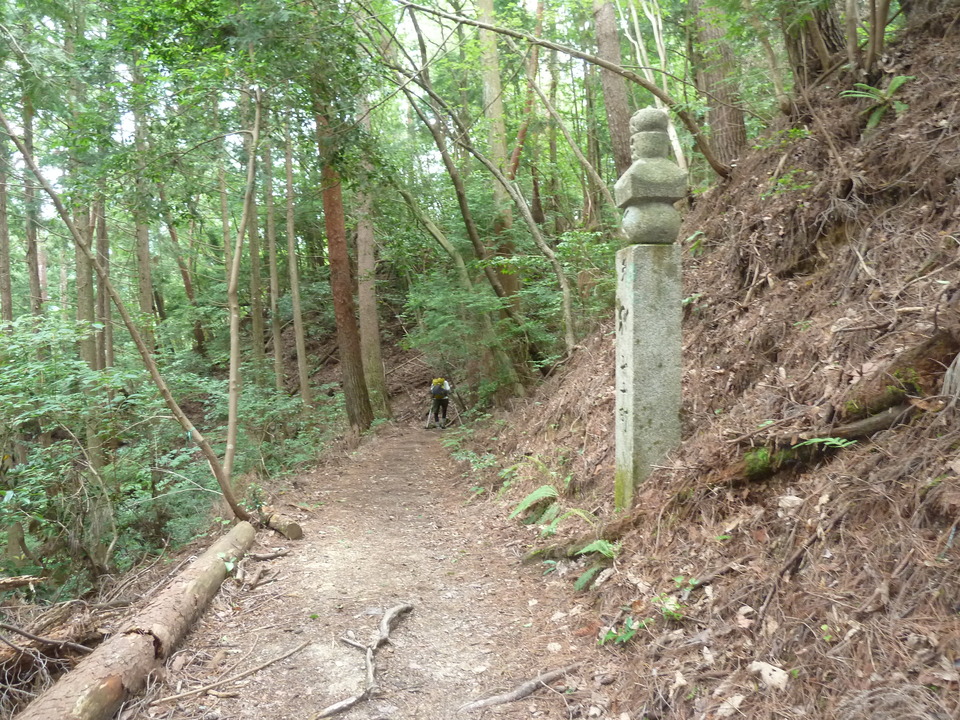 P1210552_mid.jpg