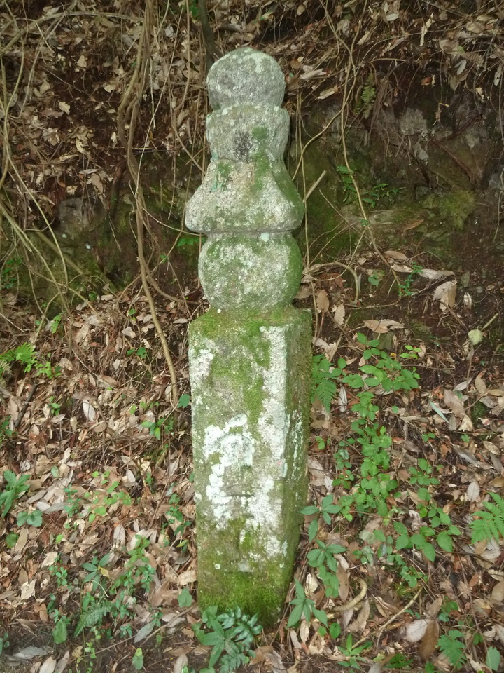 P1210561_mid.jpg