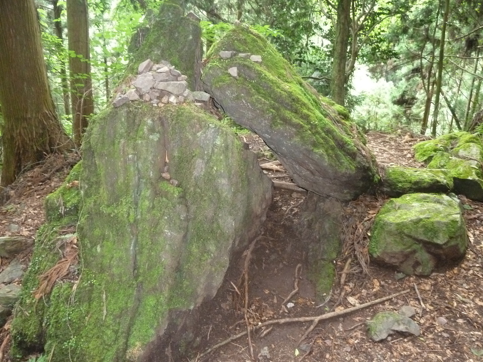 P1210582_mid.jpg