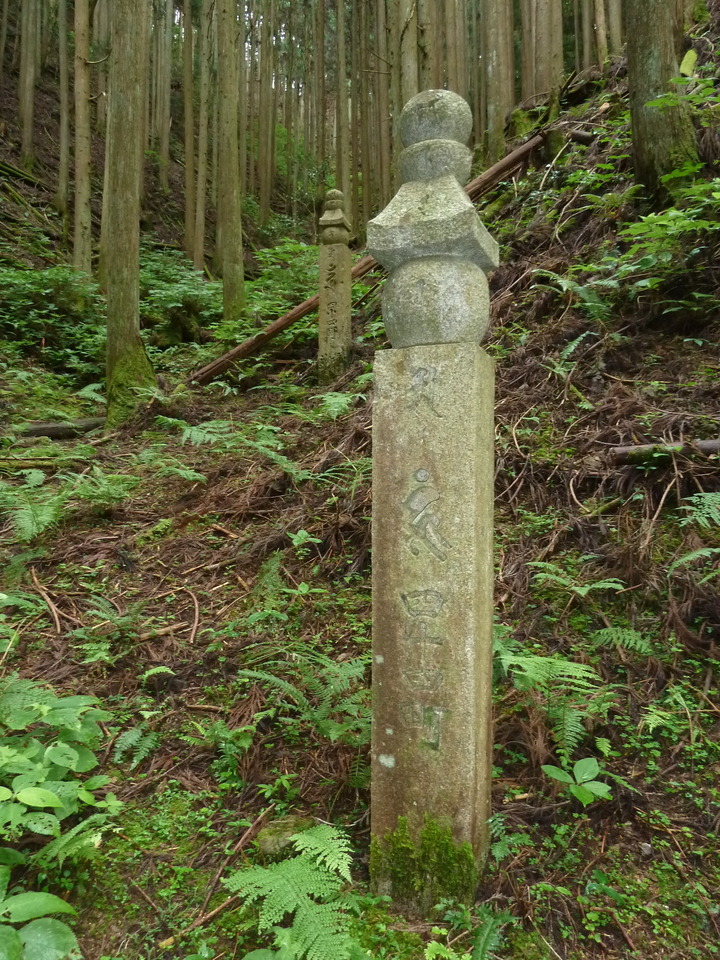 P1210604_mid.jpg