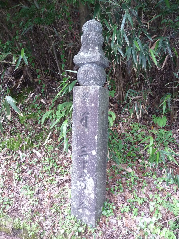 P1210613_mid.jpg