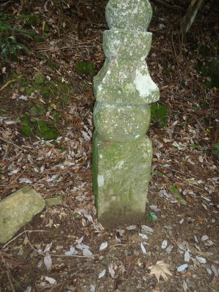 P1210640_mid.jpg