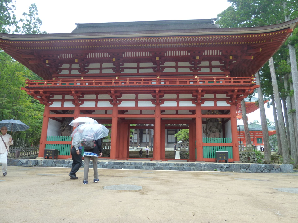 P1210675_mid.jpg
