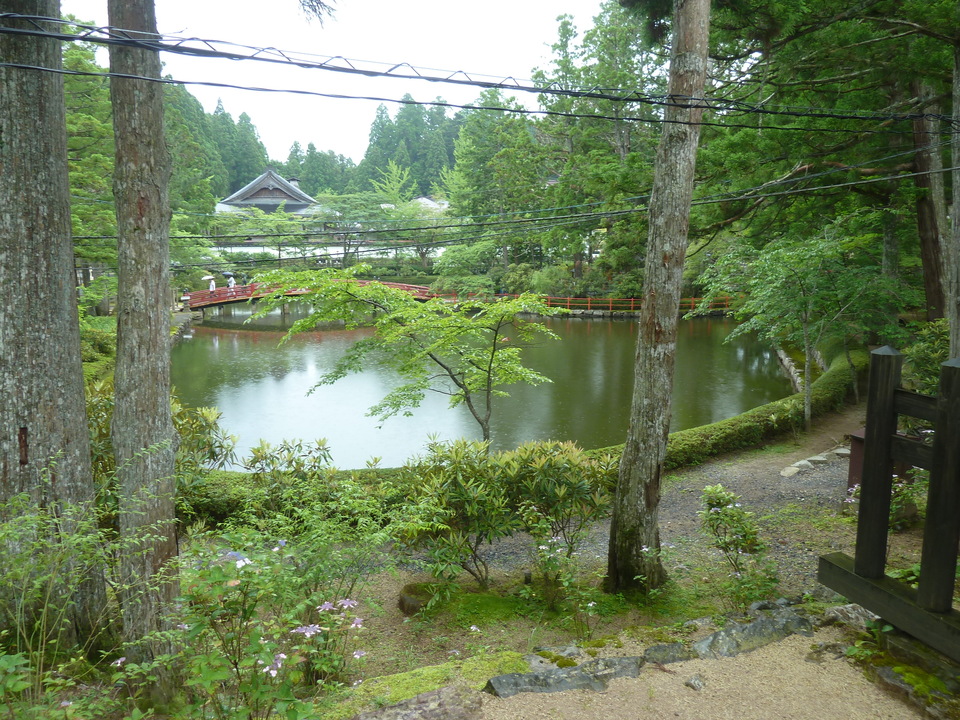 P1210688_mid.jpg