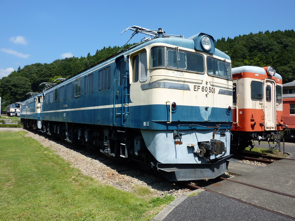 P1000082_mid.jpg