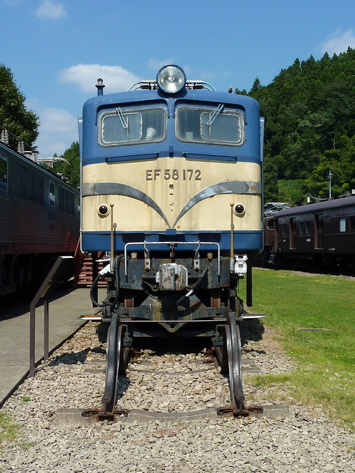 P1000096_mid.jpg
