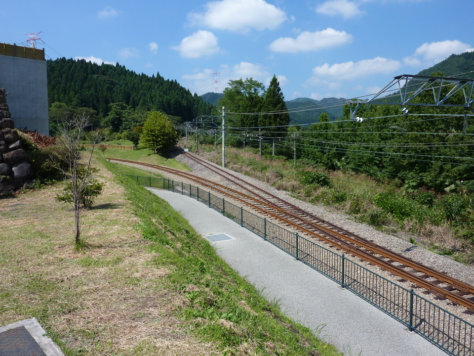 P1000108_mid.jpg