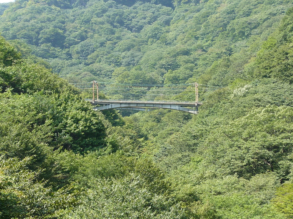 P1000116_mid.jpg