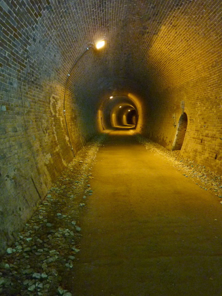 P1000118_mid.jpg